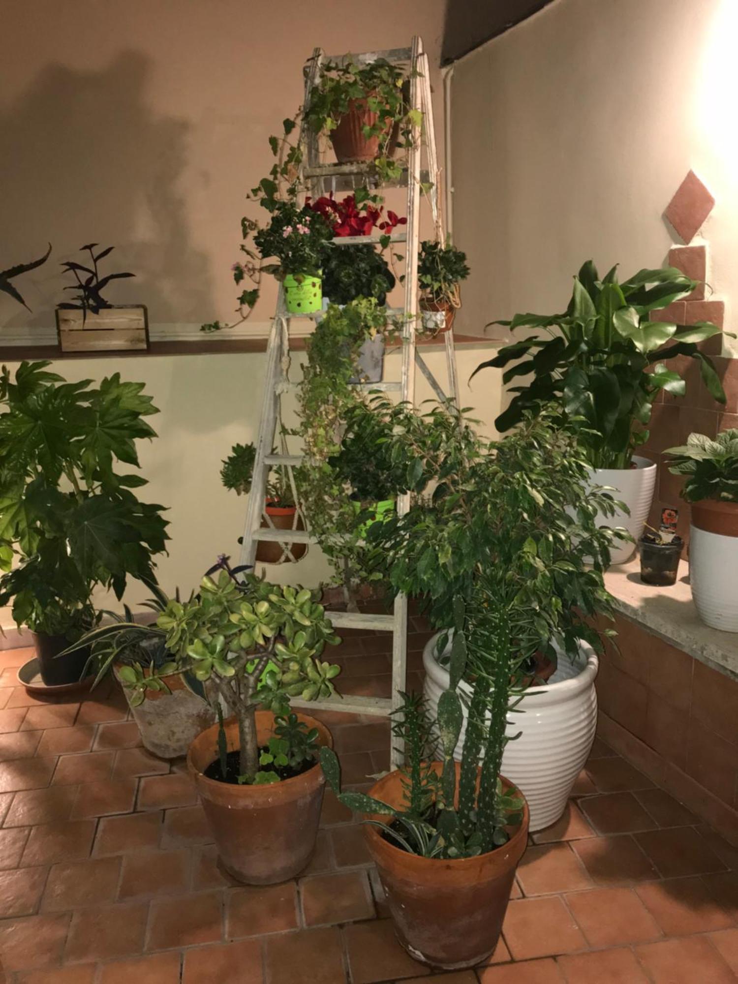 Appartamento Ilbricco Napoli